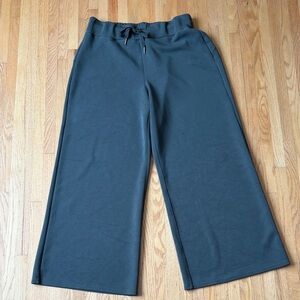 SPANX Green Air Essentials Wide Leg Pant 1X